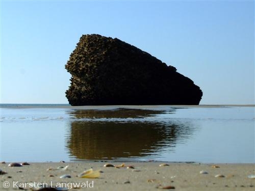Torre de la Higuera
